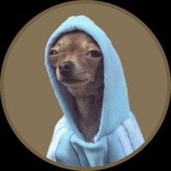 HOODOG网络