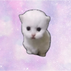 跳猫