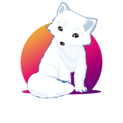 Icy网络