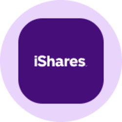 iShares中国大型股ETF