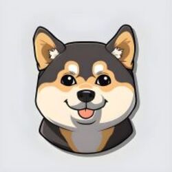 Ishi网络