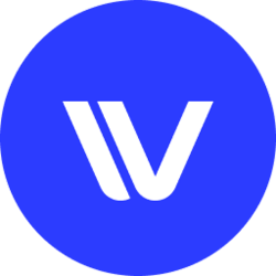 IV支付