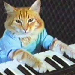 键盘猫Base网络