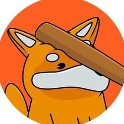 一起BONK