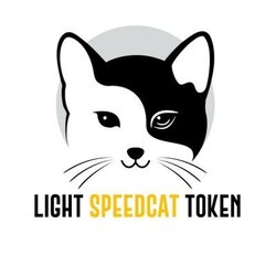 光速猫
