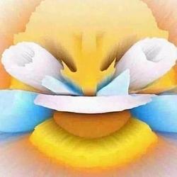 LMAO币