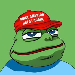 MAGA Pepe 以太币
