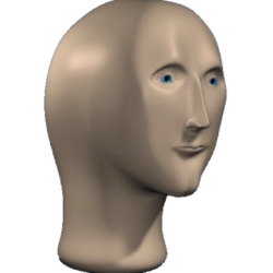 模因人