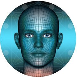 元宇宙脸