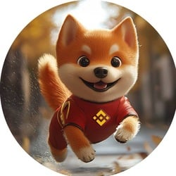 迷你狗狗币