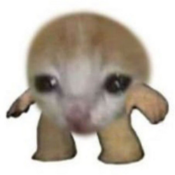 迷你币