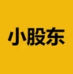 小股东