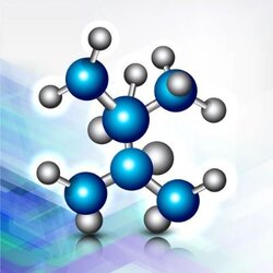分子网络