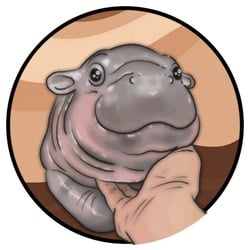 穆登币