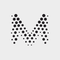 Muon网络
