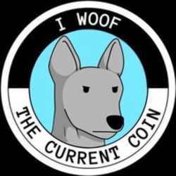 不可玩犬