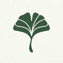 诺克普洛特