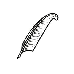纽安斯