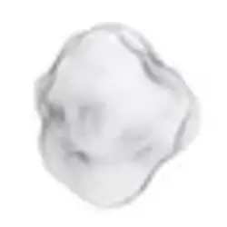 努伊特网络