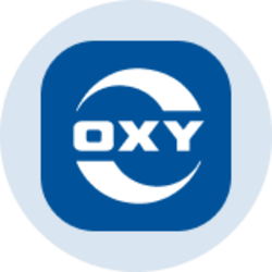 西方石油公司Ondo代币化