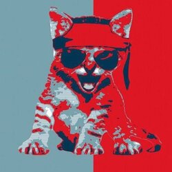 咆哮猫咪