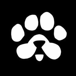 PAWS代币