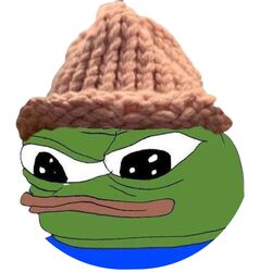 佩佩帽子币