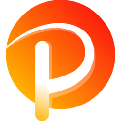 PER网络