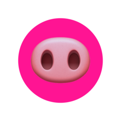 Piggy网络