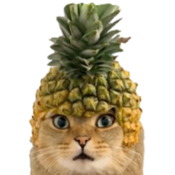 菠萝猫
