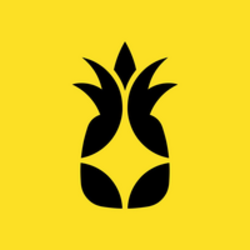 菠萝网络