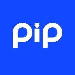 PIP网络