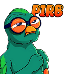 PIRB网络