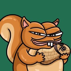 Pnut网络