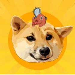 波奇塔