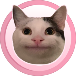 礼貌猫