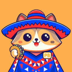 Poncho网络