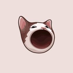 弹猫币