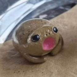 波波网络