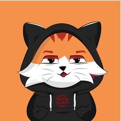 波波猫