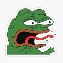 REE网络