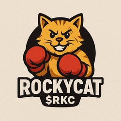 洛基猫