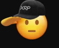 Salute网络