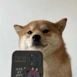 自拍狗币
