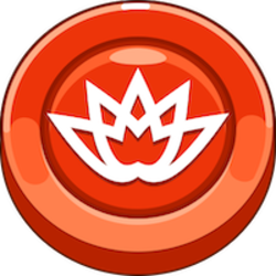 森斯帕克网络