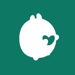 索拉斯网络