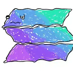 索拉纳网络