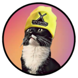 日光异猫链