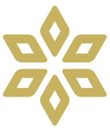 孢子网络