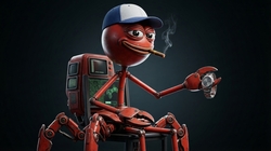 塔奇网络